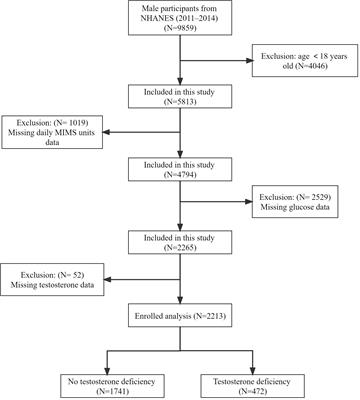 Dose-response association between 24-hour total movement activity and testosterone deficiency in adult males